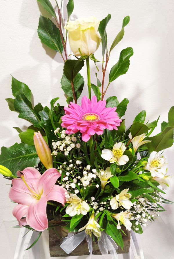Condolencia Fúnebre 4