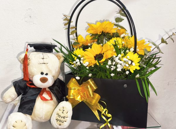 Cartera Graduación 2