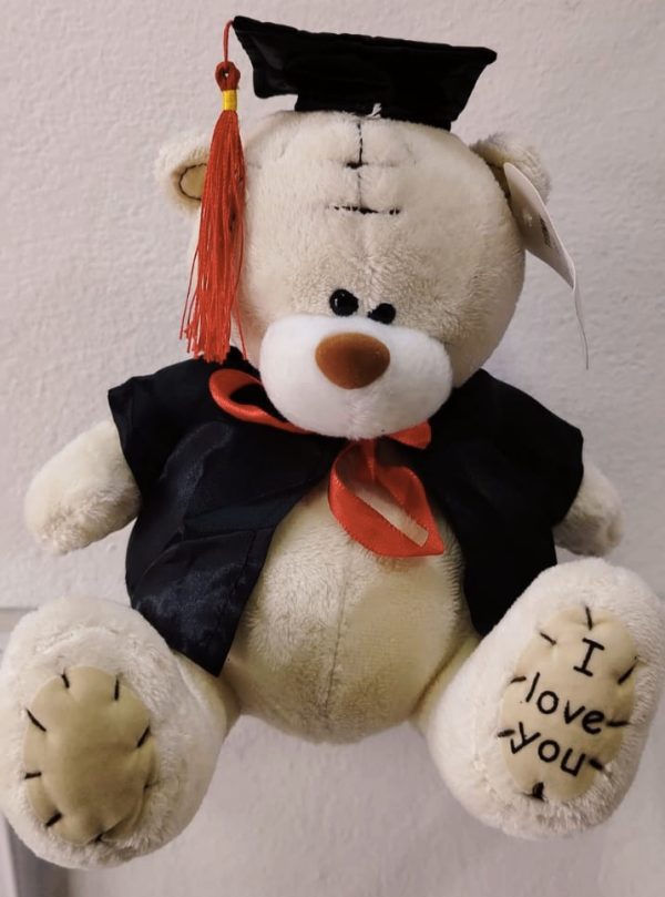 Peluches Graduación - Imagen 3