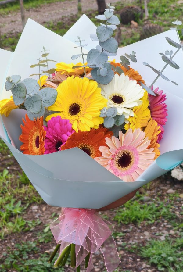 Ramo 15 Gerberas con Eucaliptus